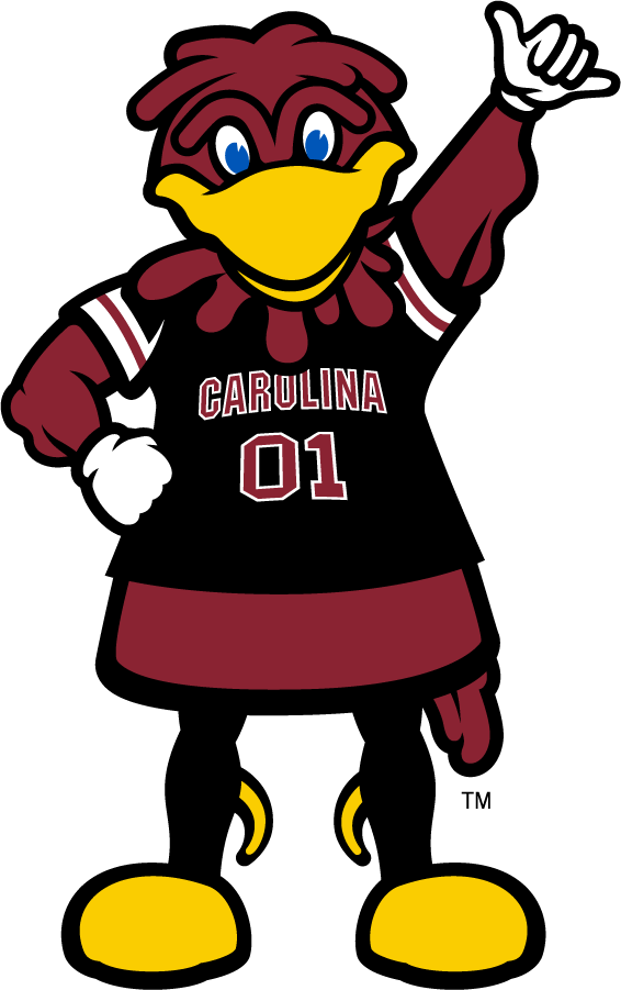 South Carolina Gamecocks 2014-Pres Mascot Logo diy iron on heat transfer...